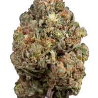 Green Crack Sativa